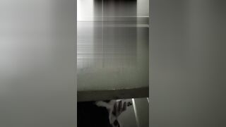 【便器下からの盗撮アングル】ご主人様による自撮り：無理やり広げられた、若く締まったマンコの接写映像――愛液の掻き出し、排便の盗撮 toilet 3 04-160526